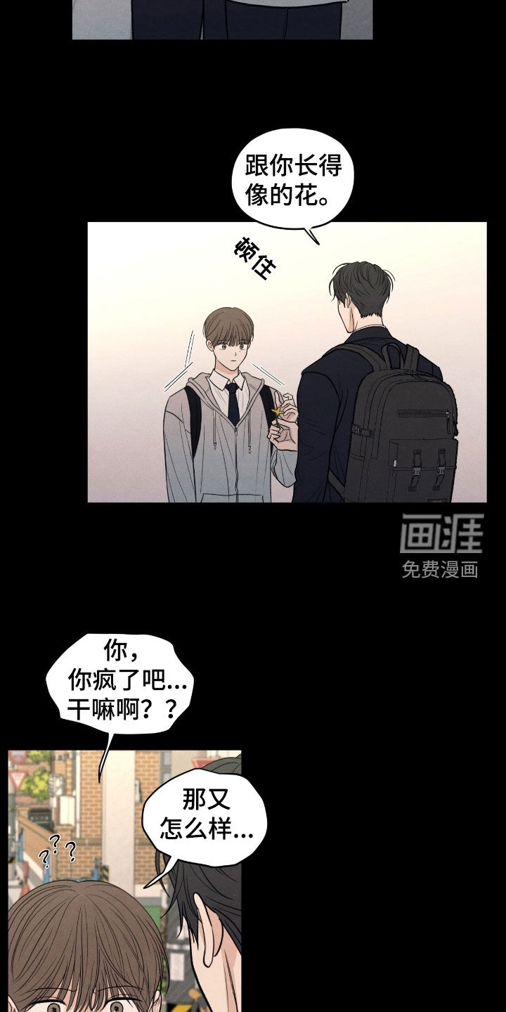 第164话14