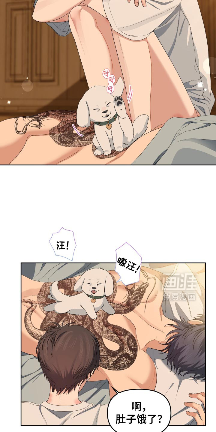 第43话11