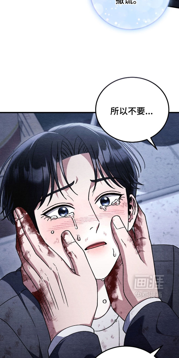 第164话24
