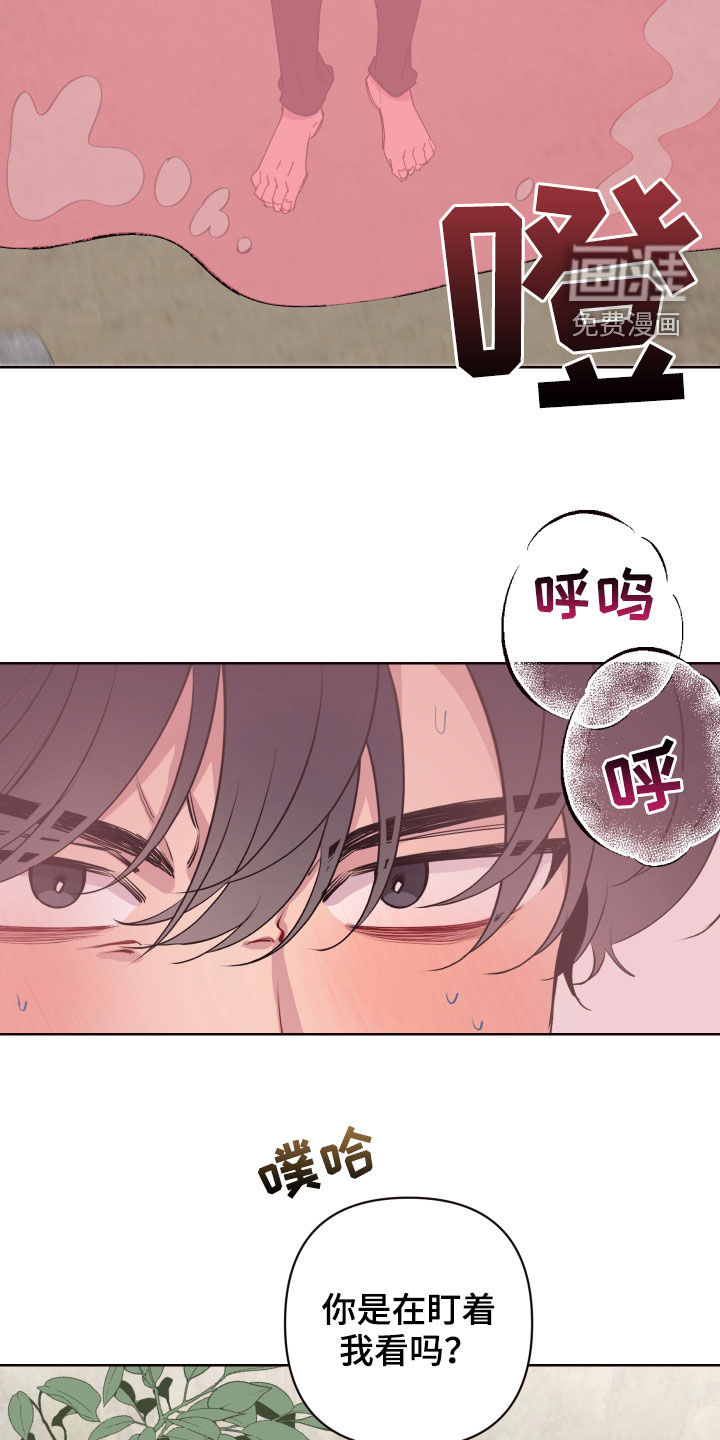 第55话 第17页