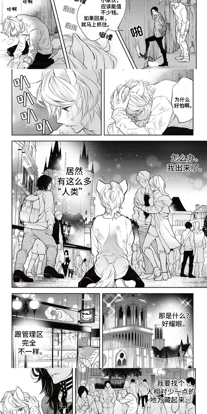 第1话 第3页