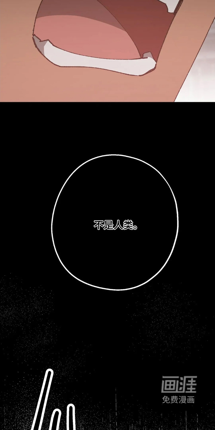 第80话25