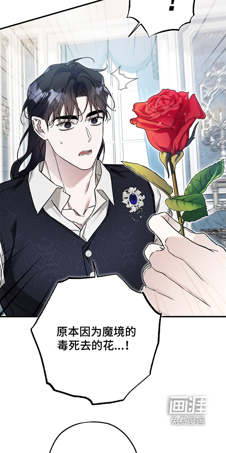 第121话29