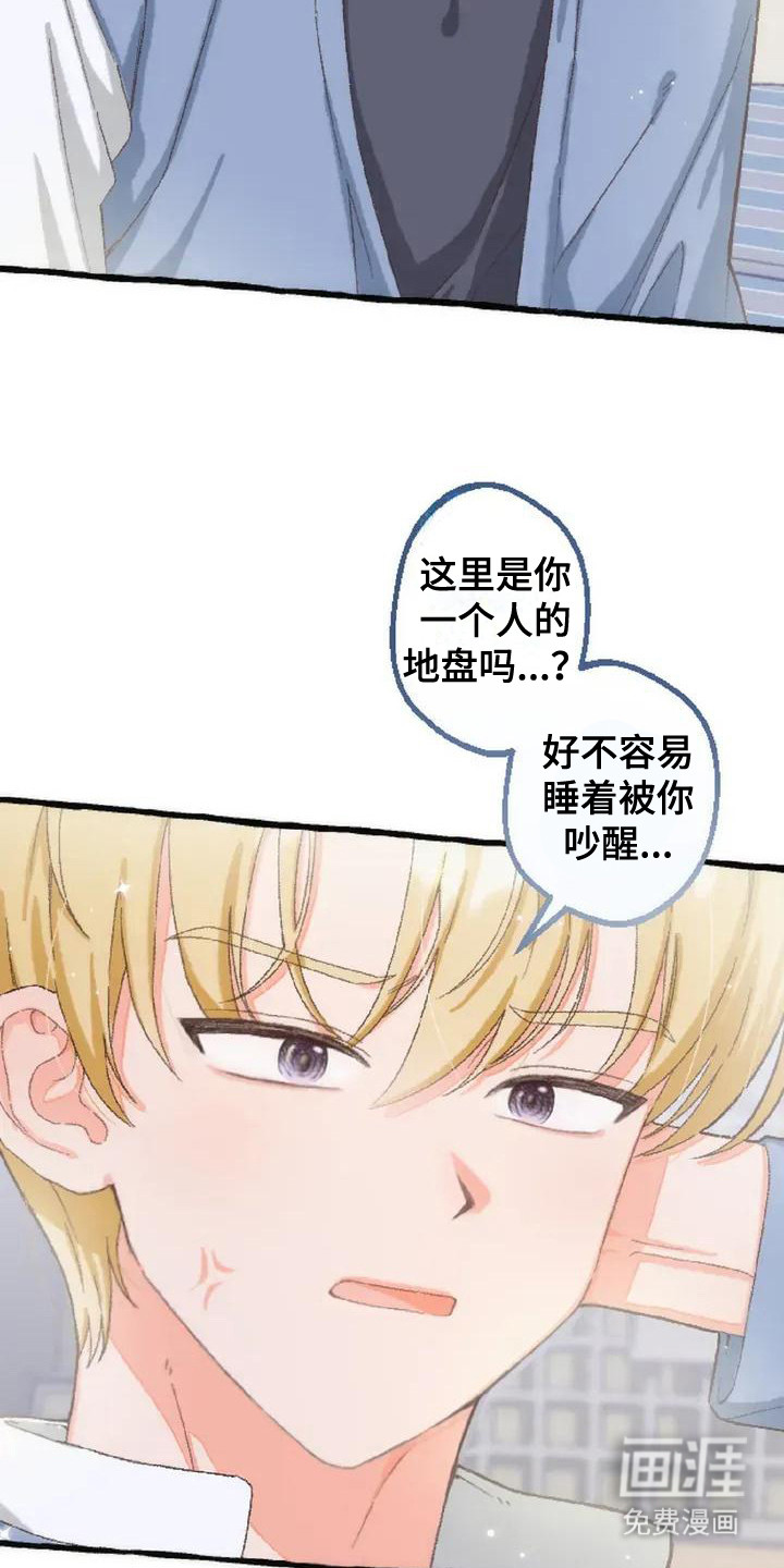 第3话 第8页