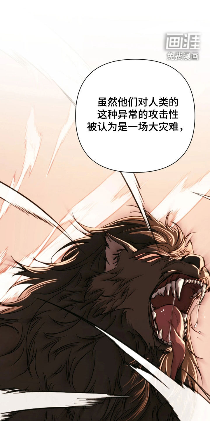 第28话13