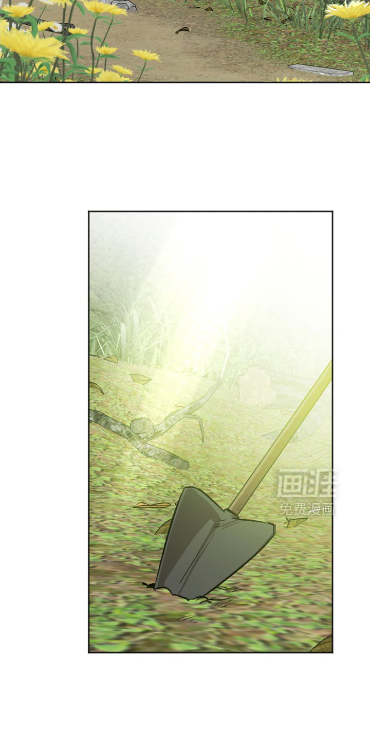 第17话17
