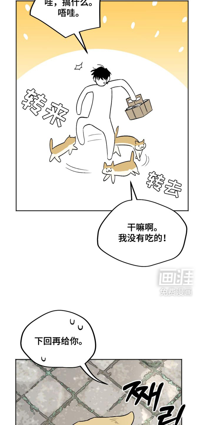 第28话 第13页