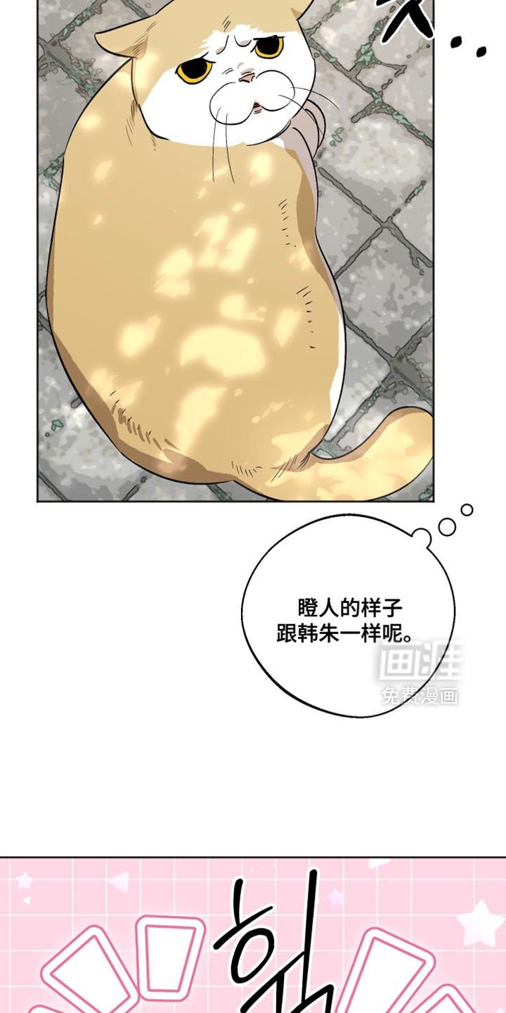 第28话 第14页