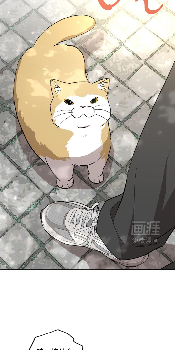 第28话 第12页