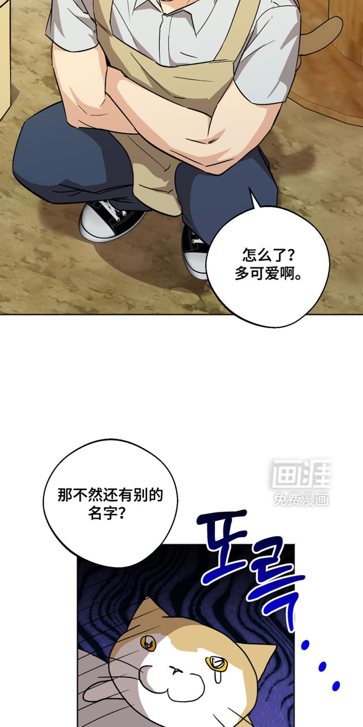 第41话4