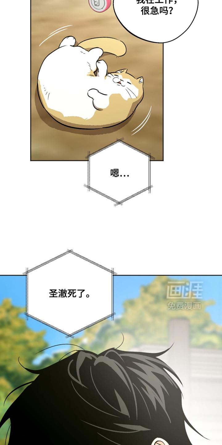 第41话9