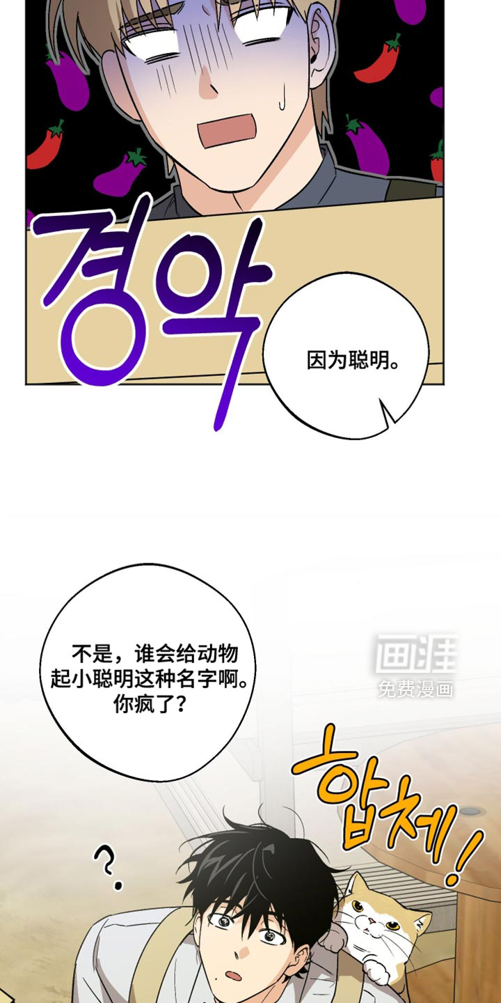 第41话3