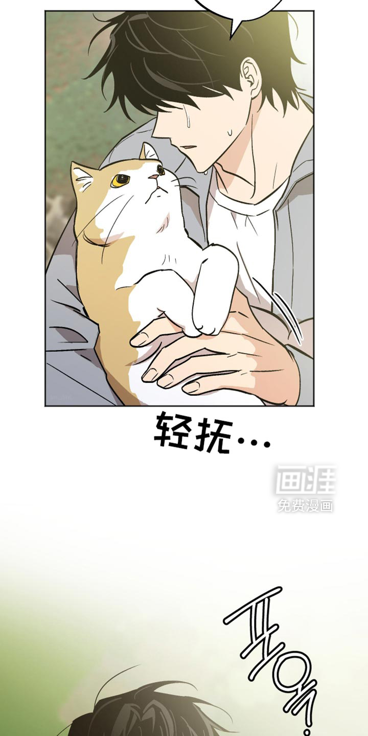 第68话28