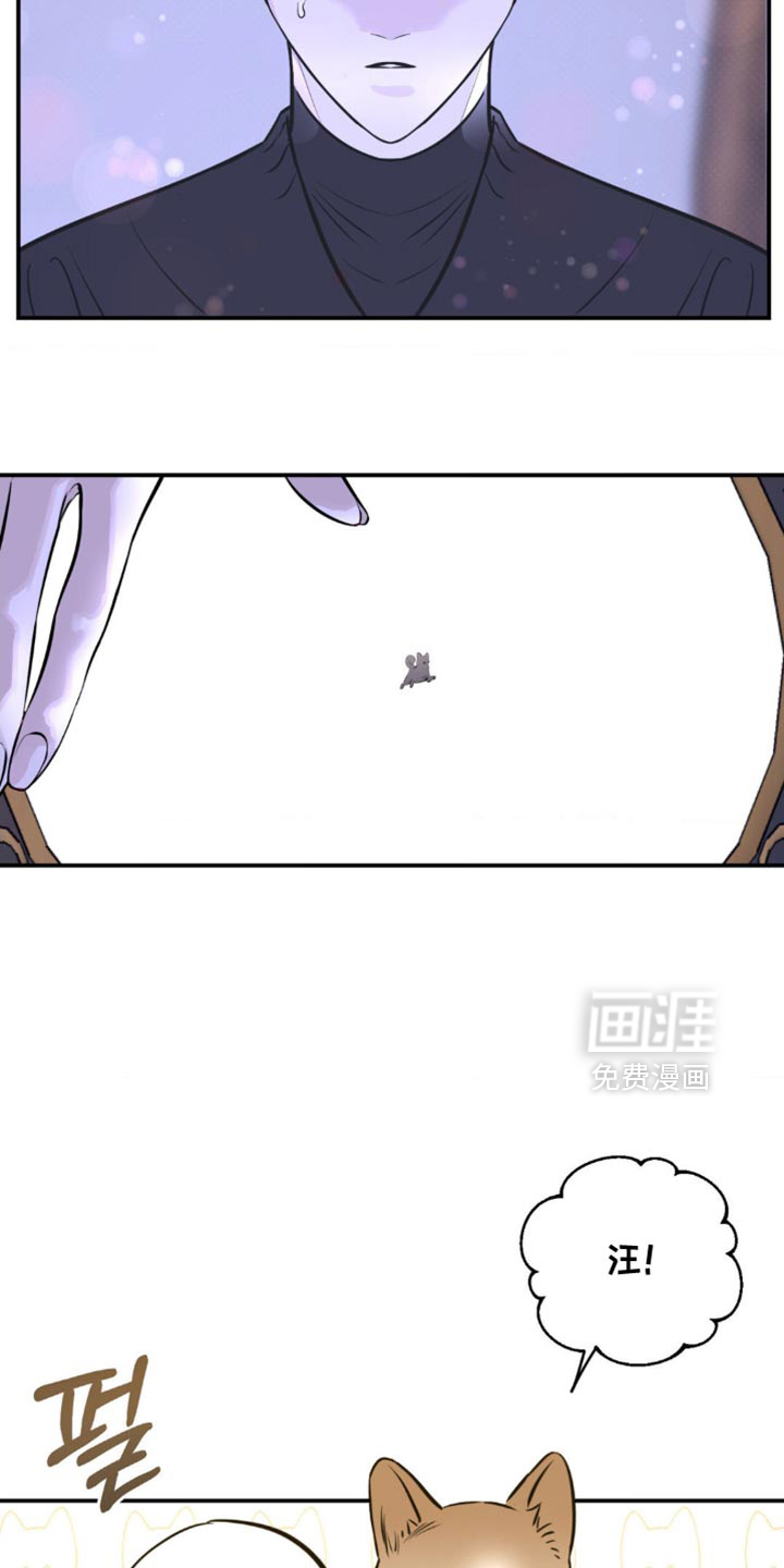 第50话 第15页