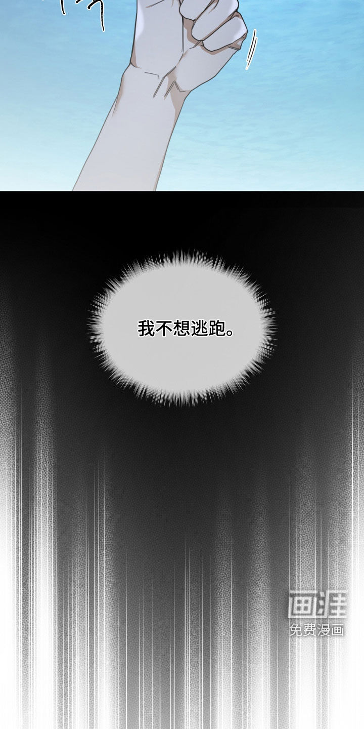 第223话17
