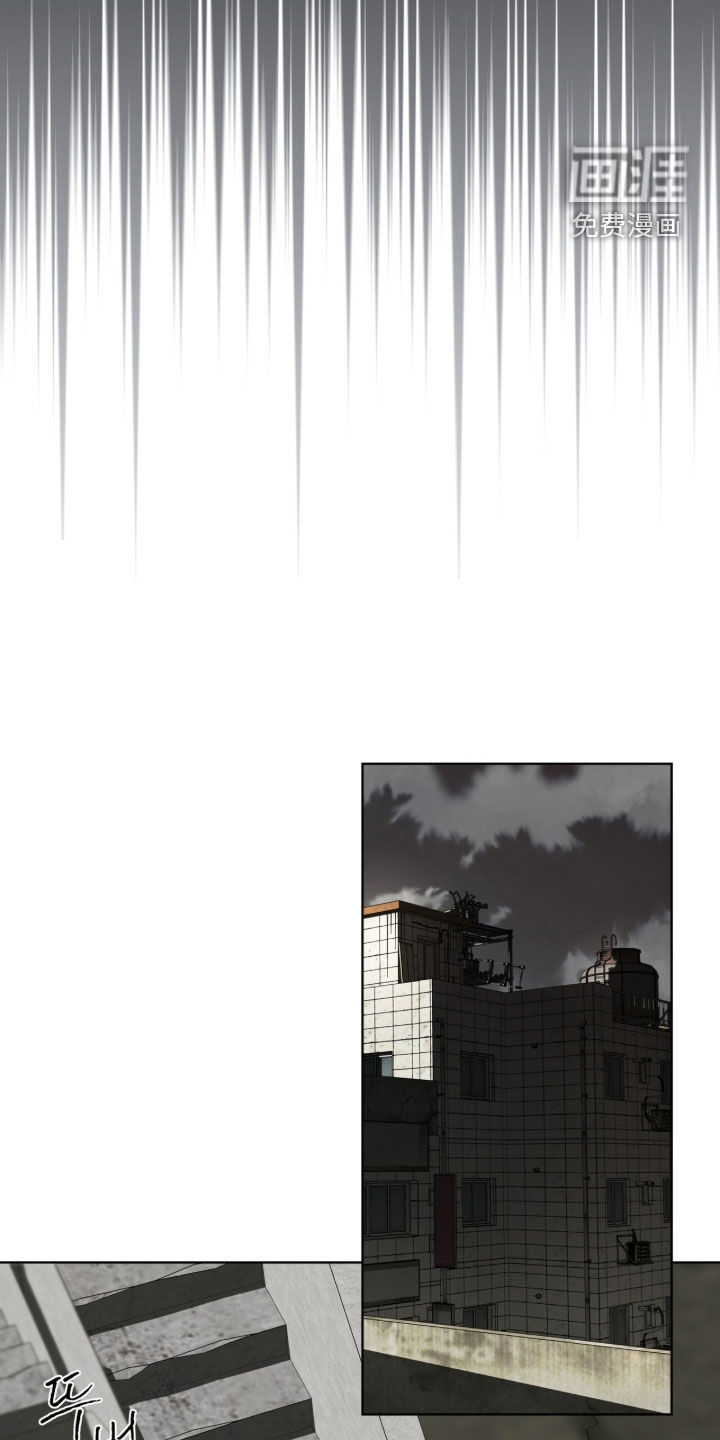 第224话17