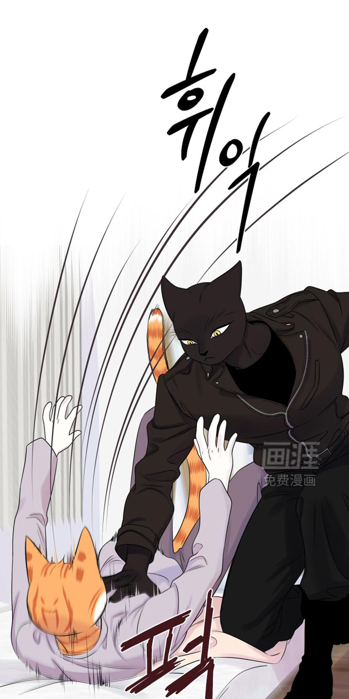 第173话19