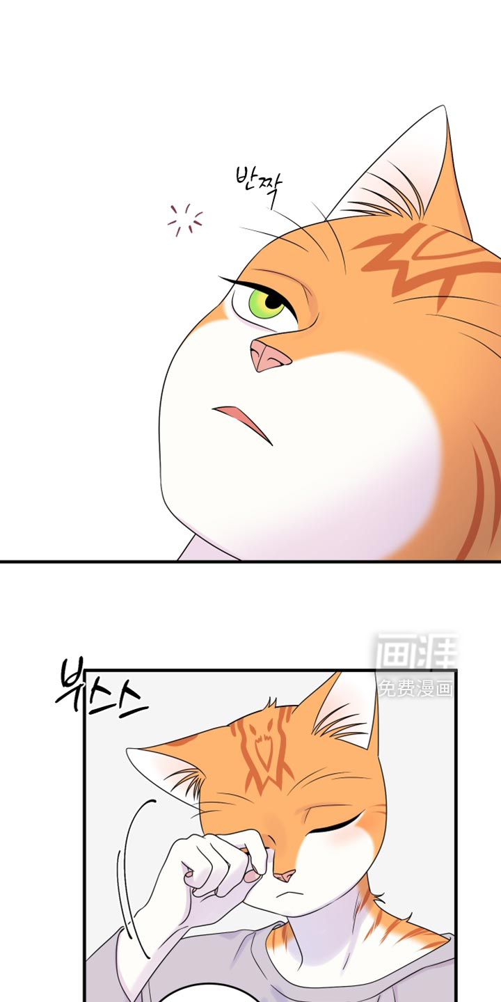 第173话0