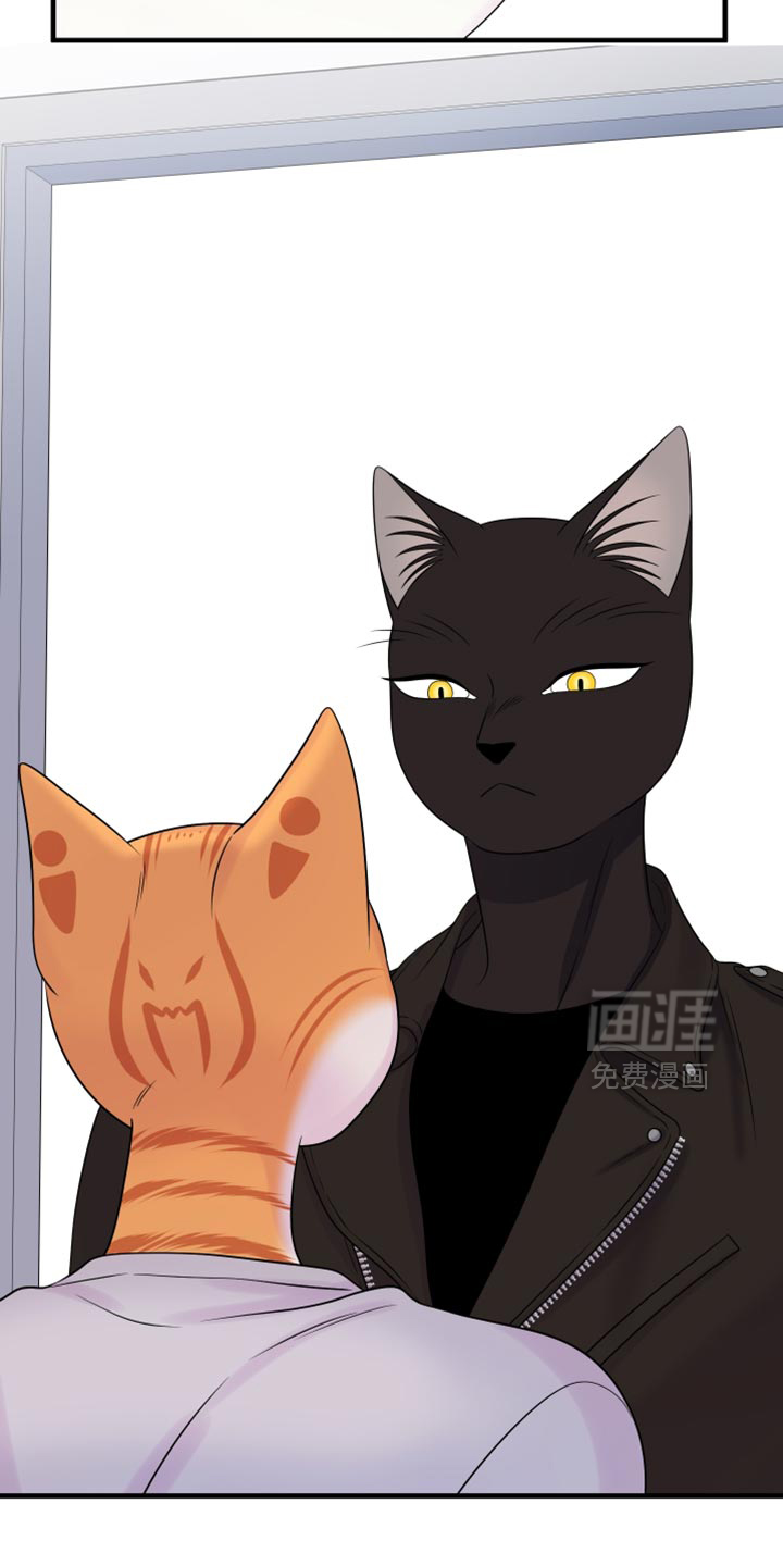 第173话11