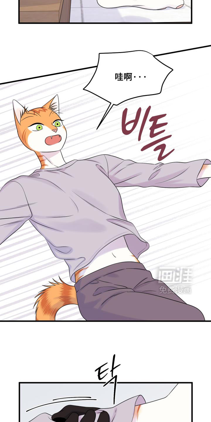 第173话14
