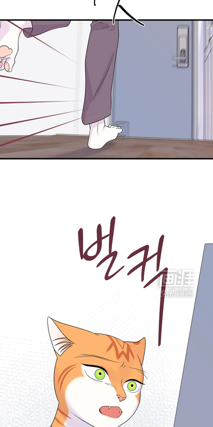 第173话9