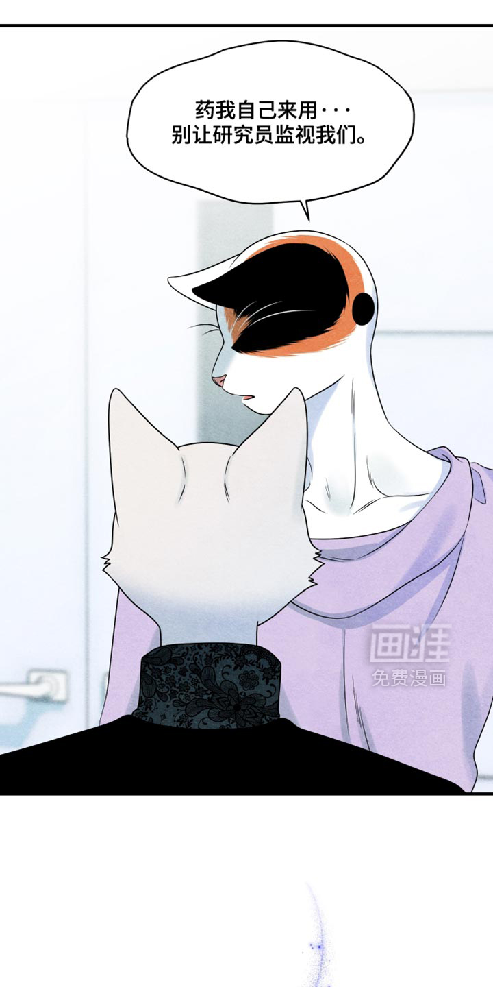 第172话21