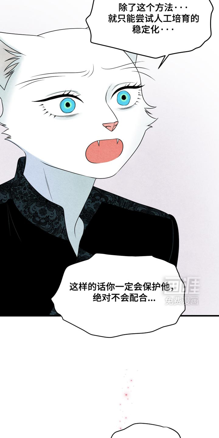 第172话13