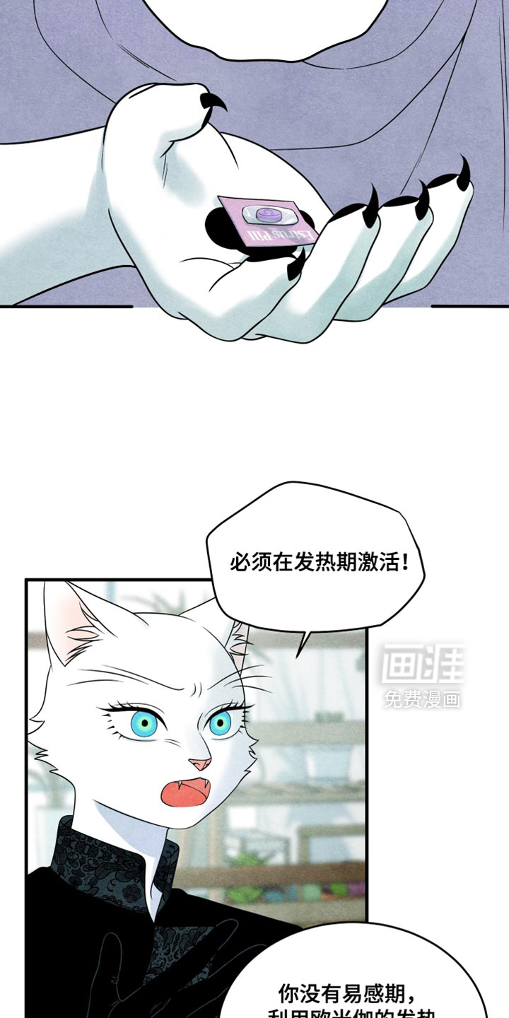 第172话8