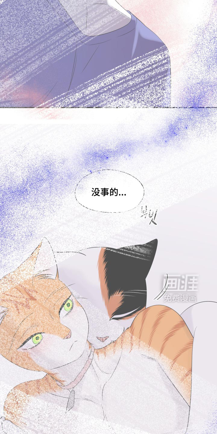 第172话30