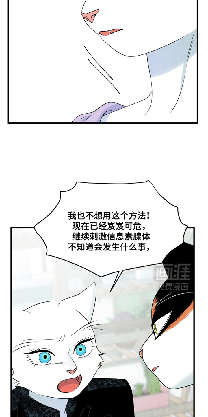 第172话11