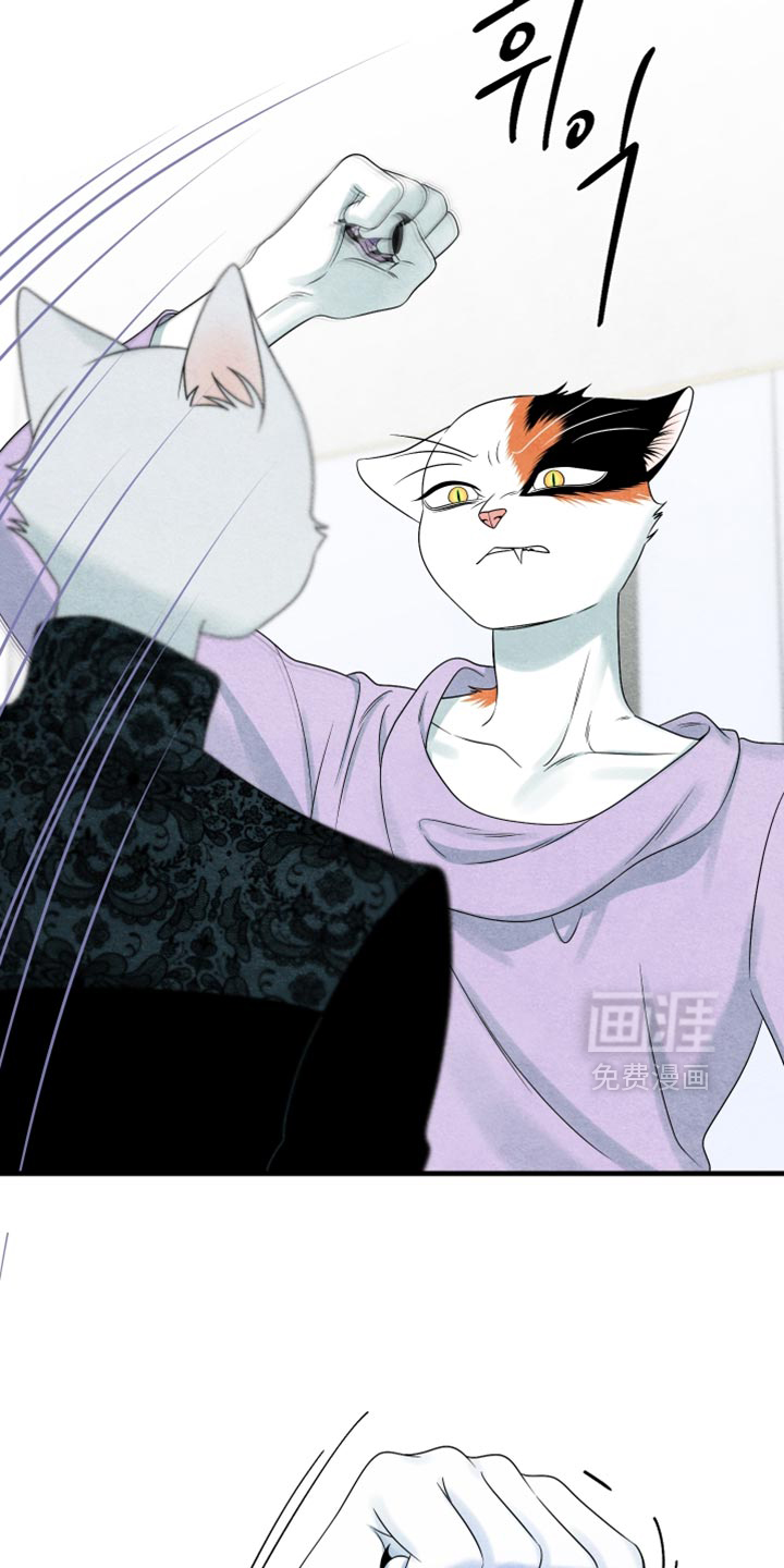 第172话17