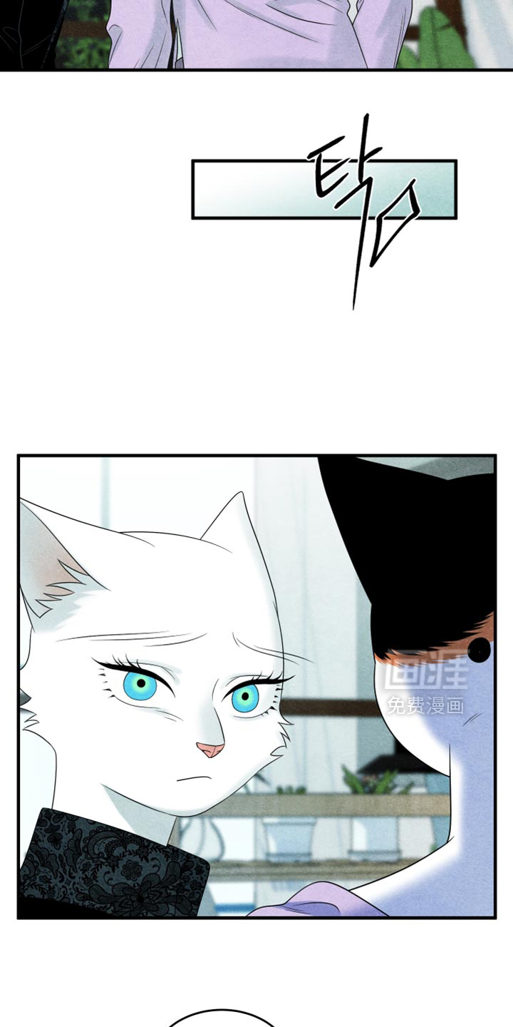 第171话13