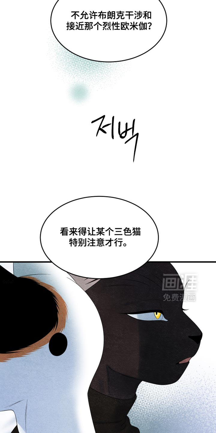 第171话11