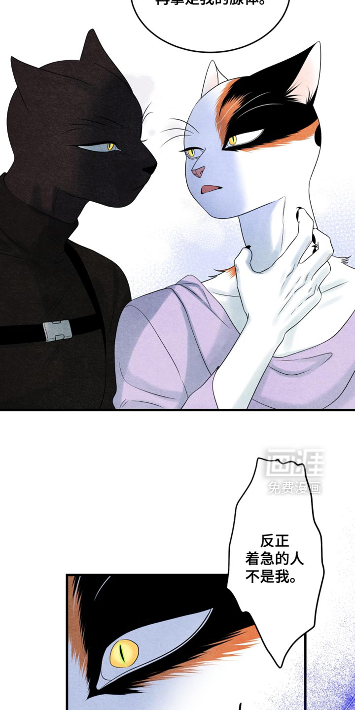 第171话6