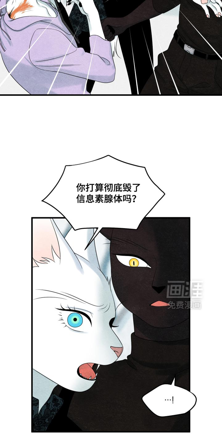 第171话8