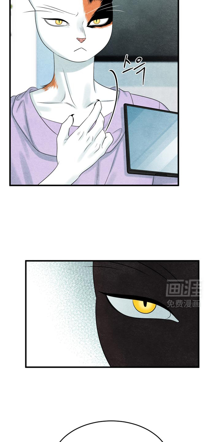 第171话10