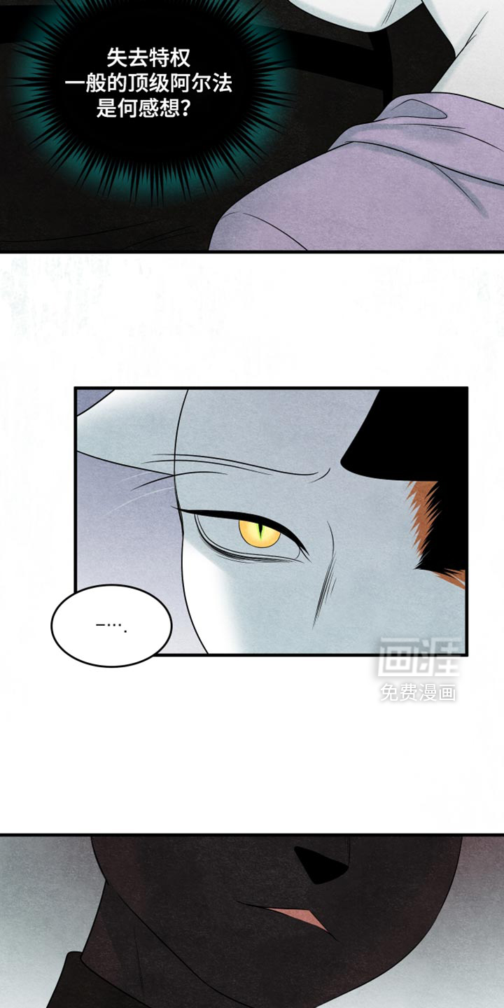 第170话4