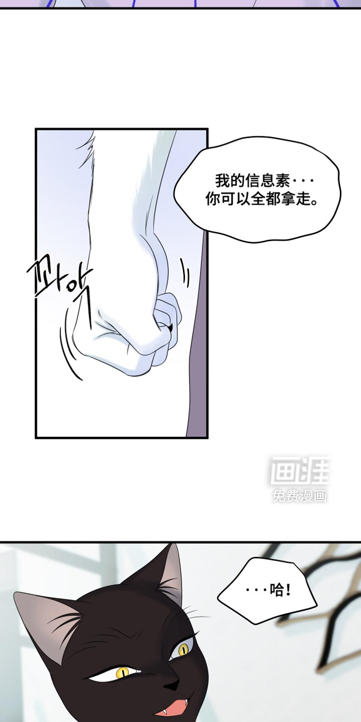 第170话13