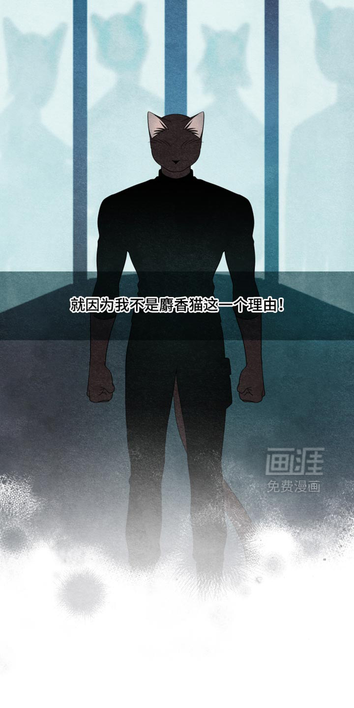 第170话7