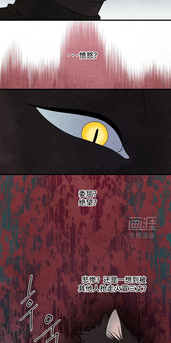 第170话5