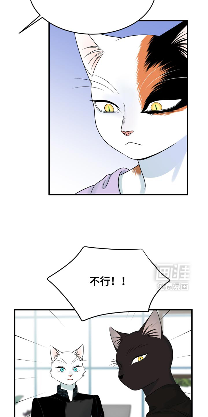 第170话11