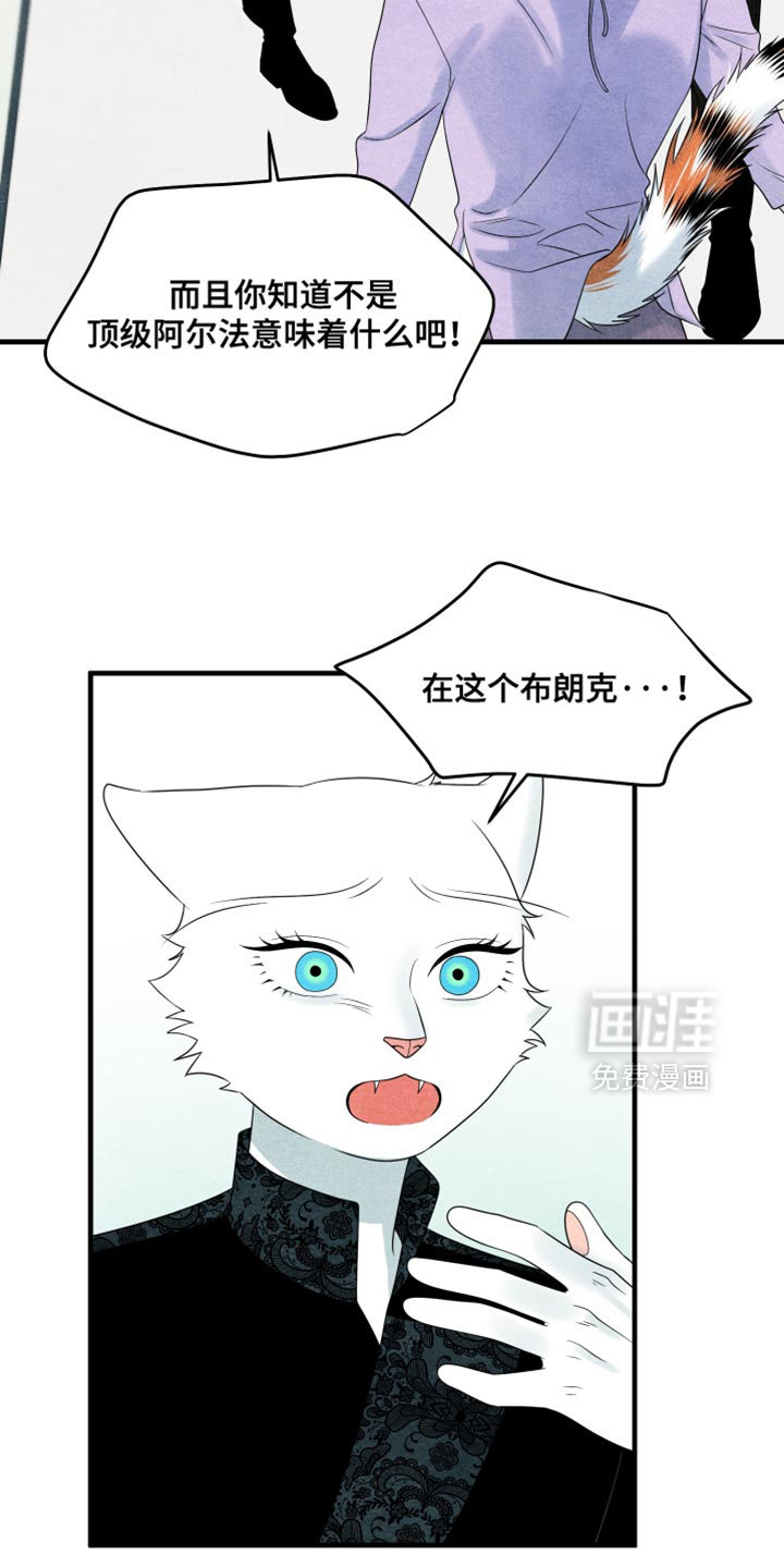 第170话15