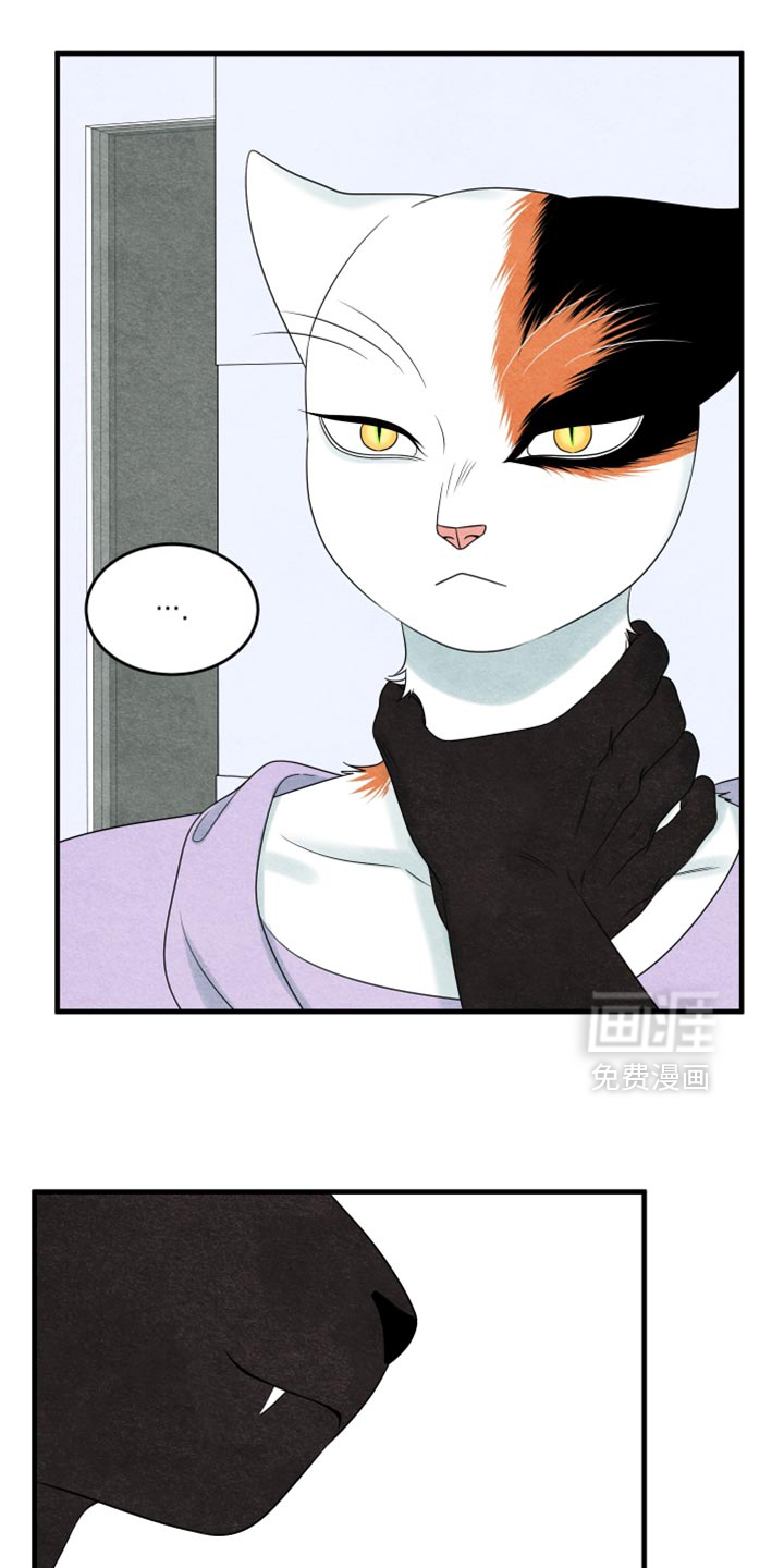 第169话12