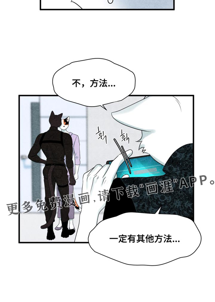 第169话17
