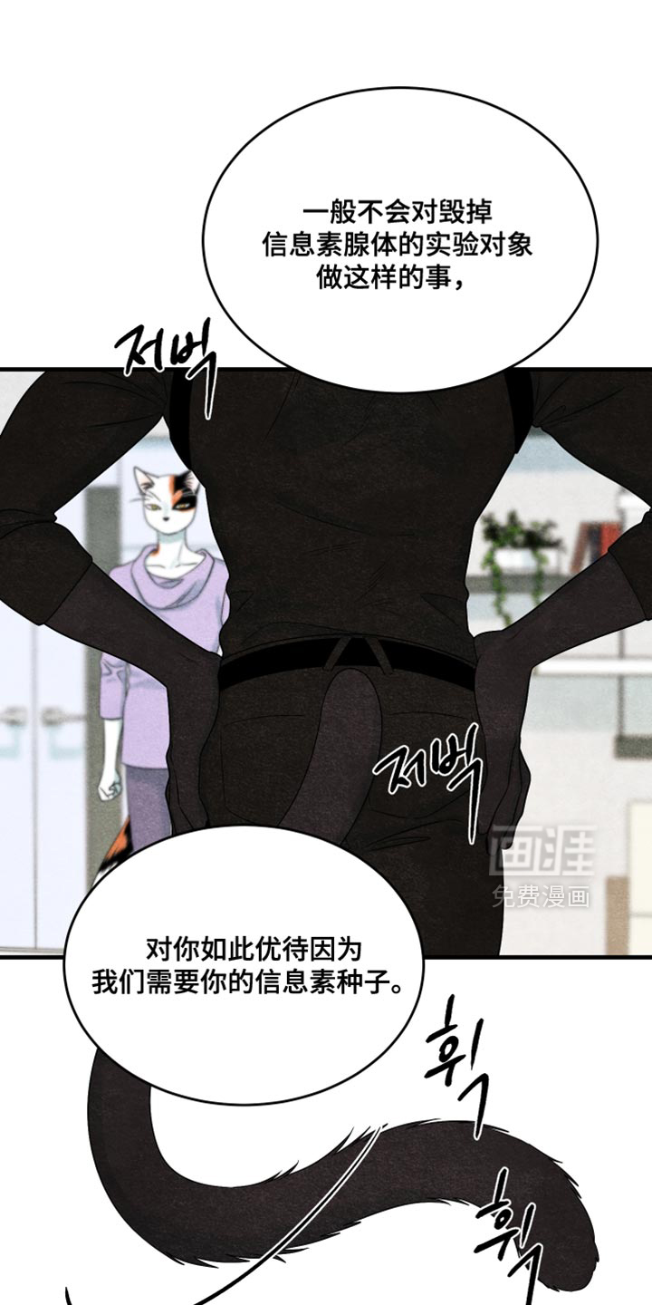 第169话5