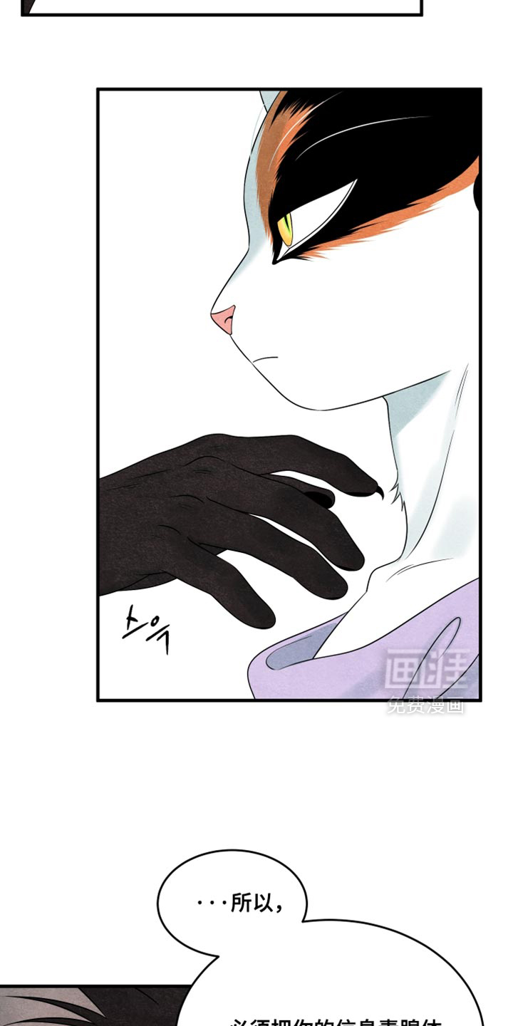 第169话13