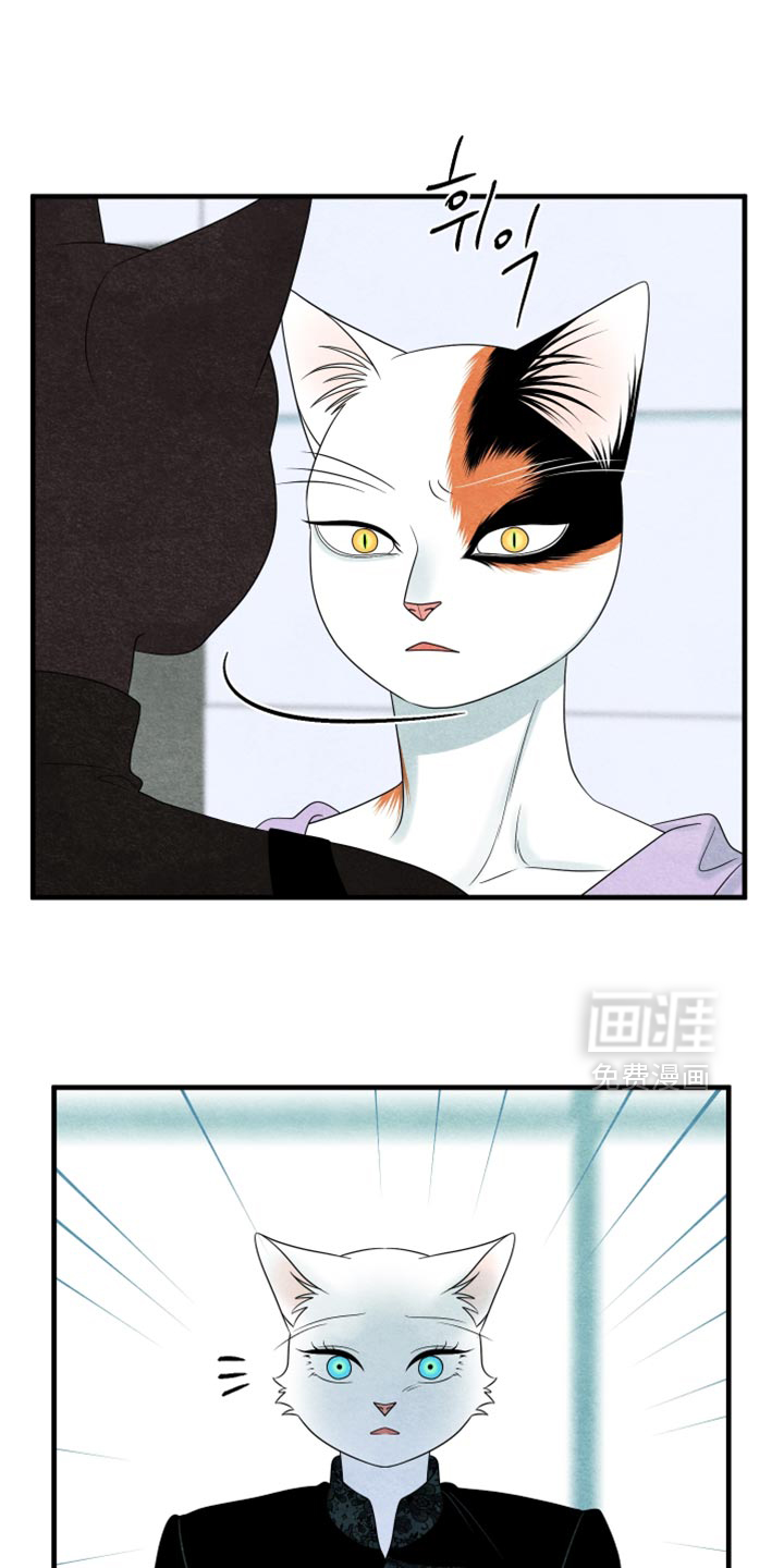 第169话15