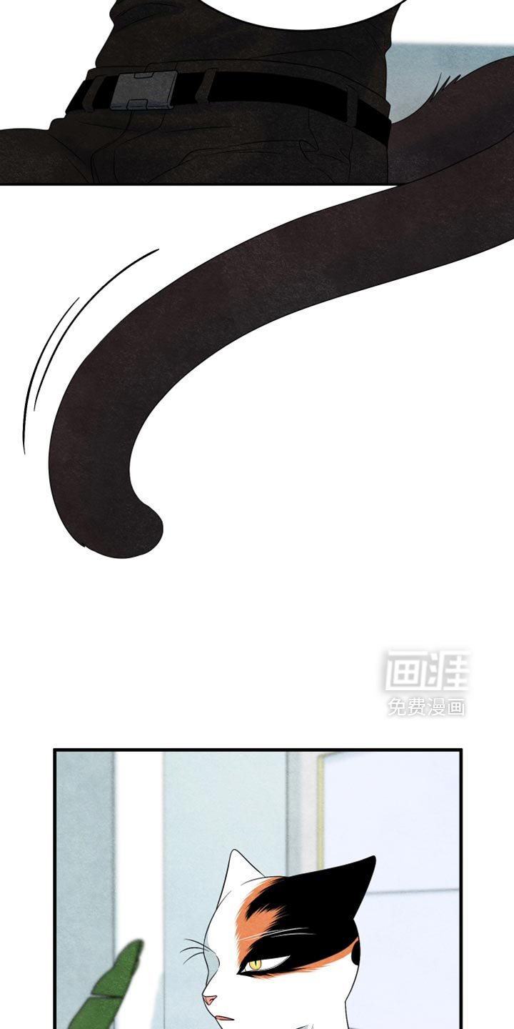 第169话3