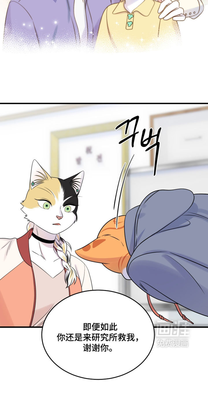 第179话14