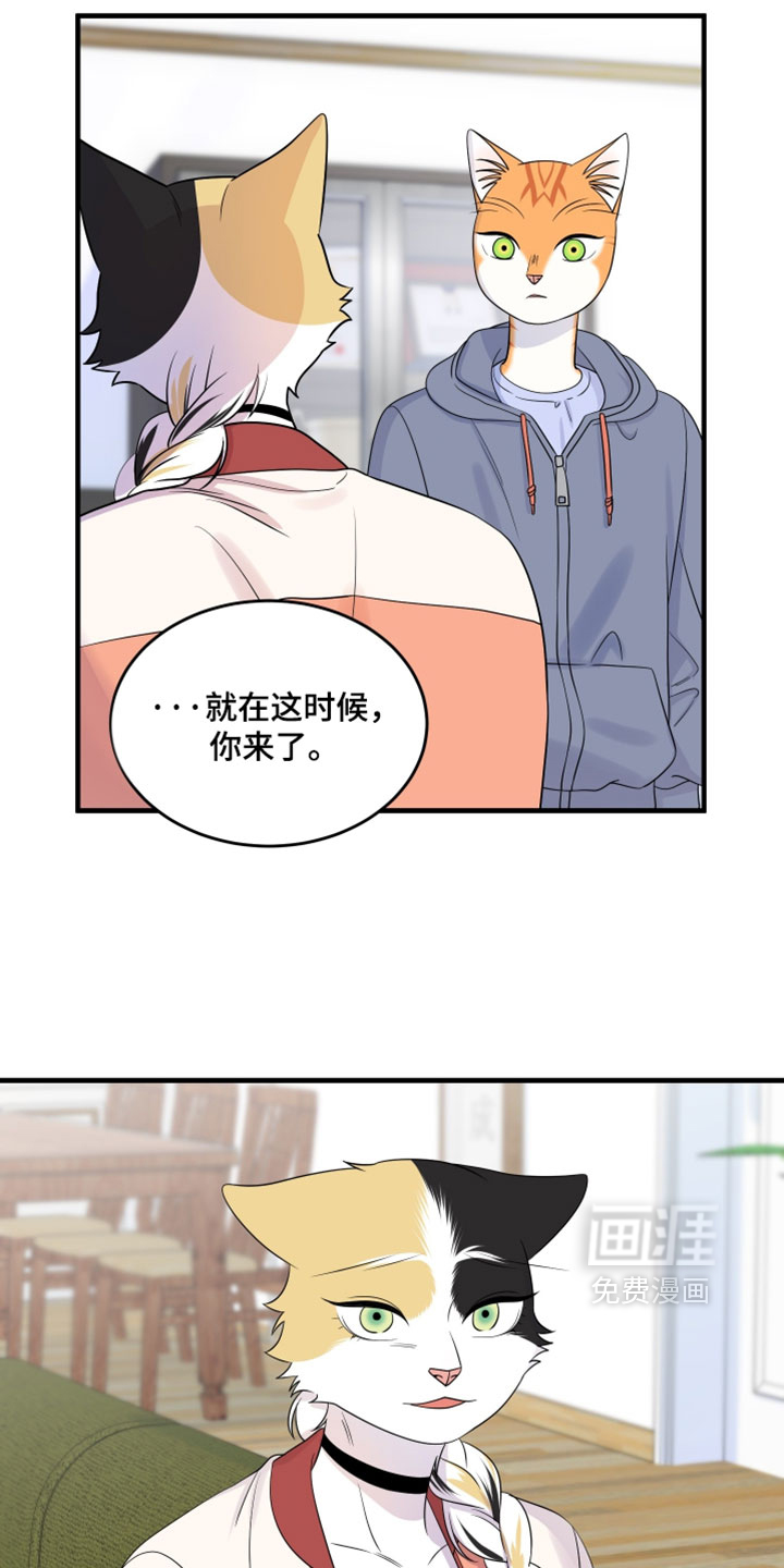第179话10
